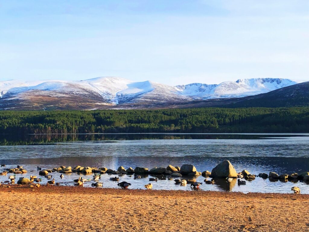 Loch Morlich