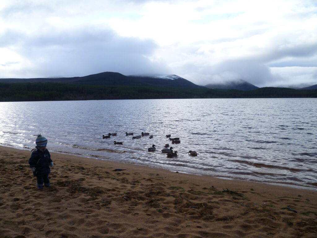 Loch Morlich and the ducks