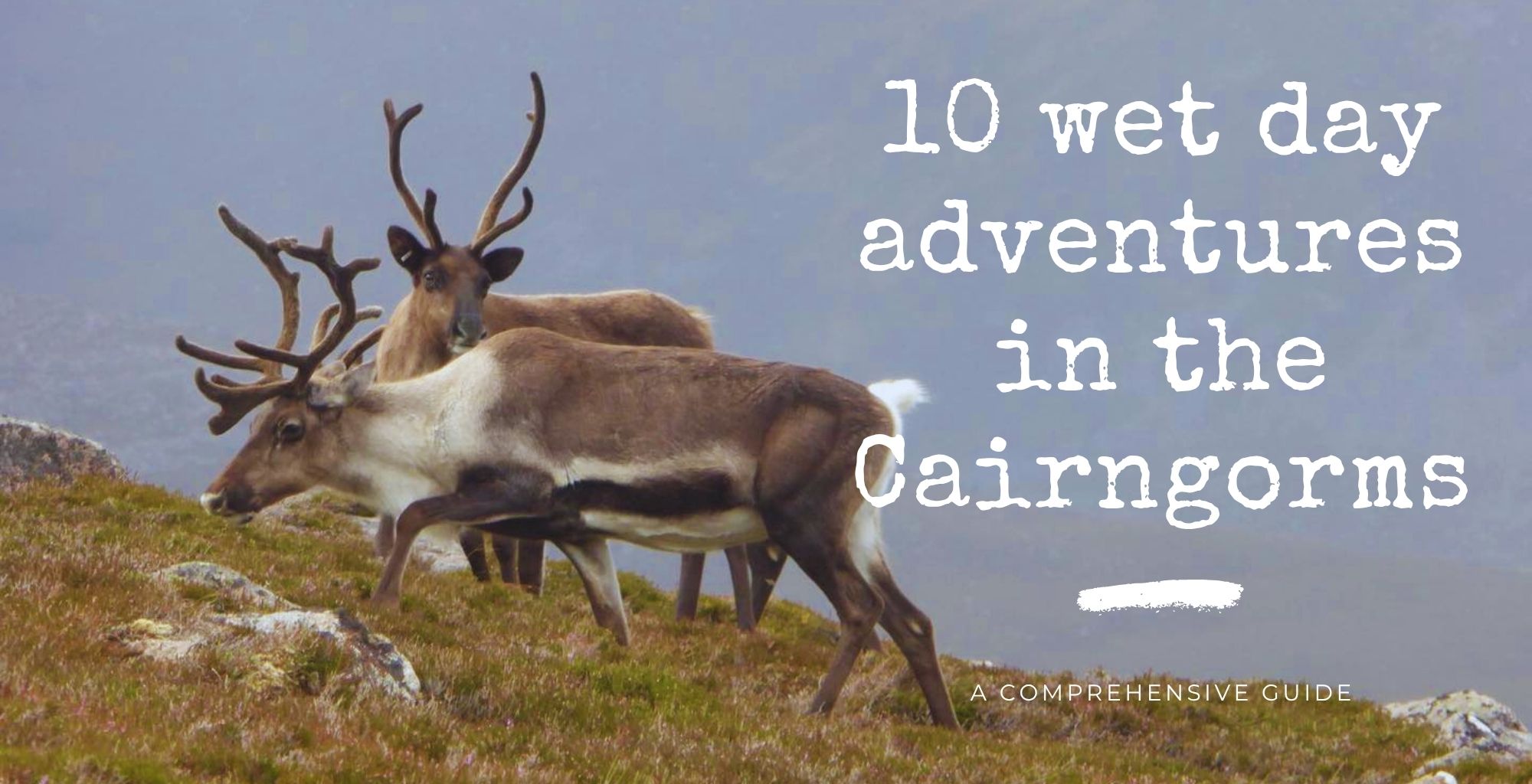 10 wet day adventures in the Cairngorms
