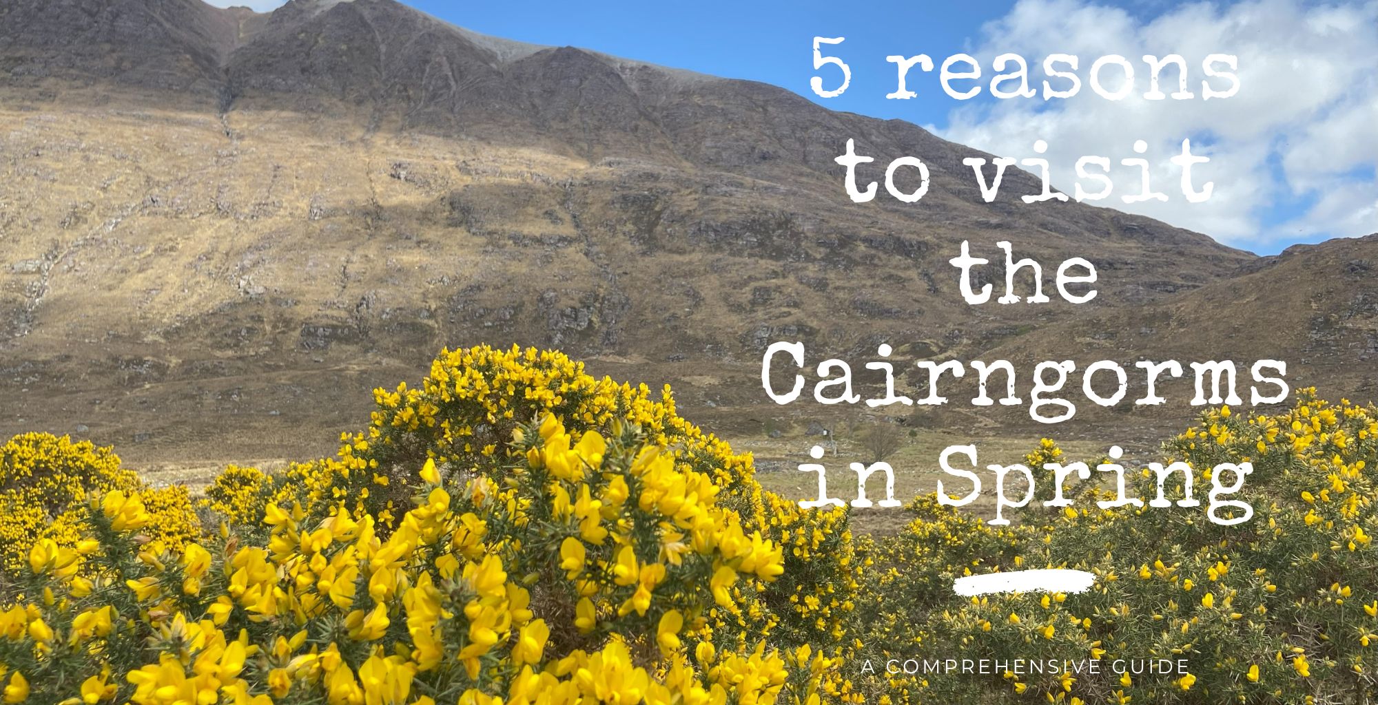 5 reasons to visit the Cairngorms in Spring