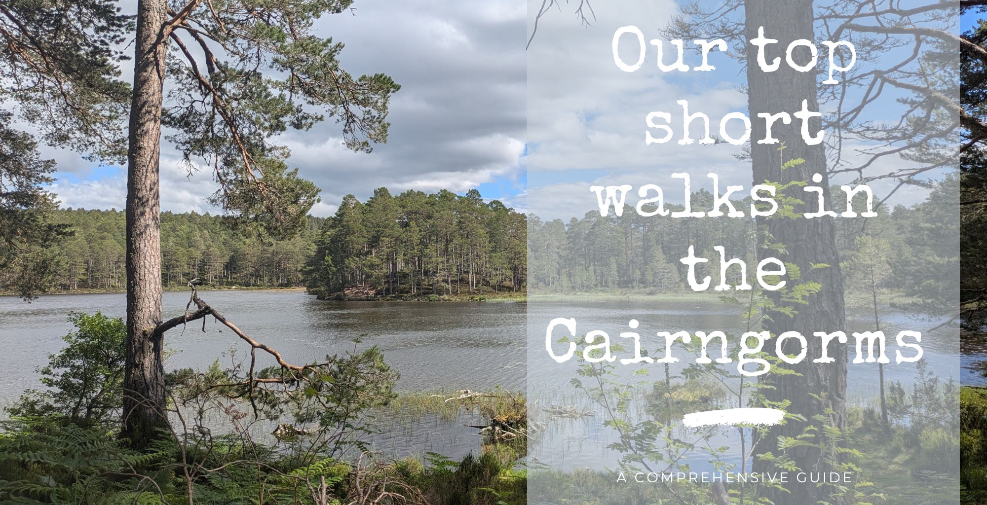 top short walks in the Cairngorms